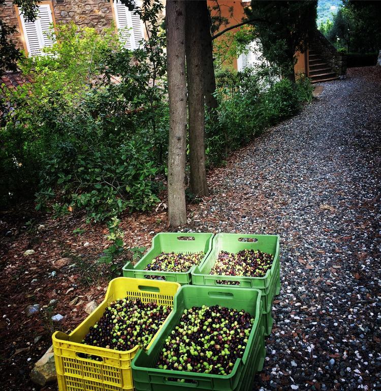 La Locanda Del Barbagianni Santa Luce Exterior foto